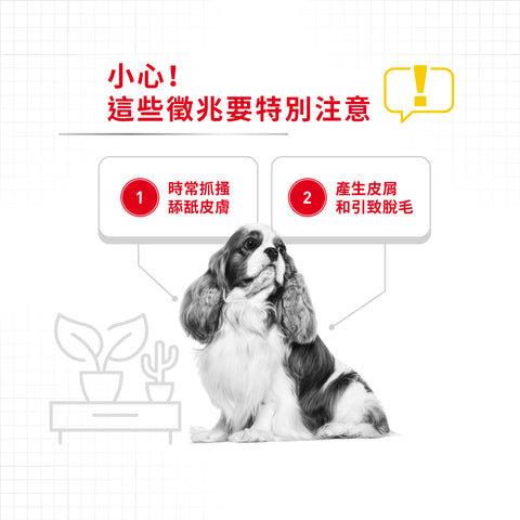 Royal Canin 法國皇家狗乾糧 - 小型犬皮膚舒緩加護配方 MINI DERMACOMFORT