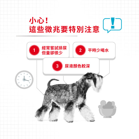 Royal Canin 法國皇家狗乾糧 - 小型犬泌尿道加護配方 Mini Urinary Care