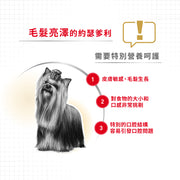 Royal Canin 法國皇家貓濕糧 - 約瑟爹利成犬專屬配方 (肉塊) Yorkshire Terrier Adult (Loaf) 85g