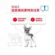 Royal Canin 法國皇家狗濕糧 - 成犬體重控制加護主食濕糧 (肉塊) Light Weight Care (Loaf) 85g