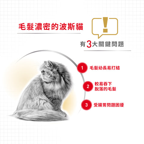 Royal Canin 法國皇家貓乾糧 - 波斯成貓 Persian Adult