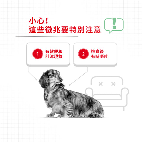 Royal Canin 法國皇家狗乾糧 - 小型犬消化道加護配方 Mini Digestive Care