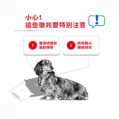 Royal Canin 法國皇家狗乾糧 - 小型犬體重控制加護配方 MINI LIGHT WEIGHT CARE