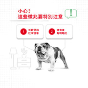 Royal Canin 法國皇家狗濕糧 - 成犬消化道加護主食濕糧 (肉塊) Digestive Care (Loaf) 85g