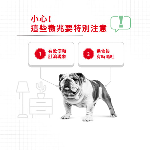 Royal Canin 法國皇家狗濕糧 - 成犬消化道加護主食濕糧 (肉塊) Digestive Care (Loaf) 85g