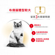 Royal Canin 法國皇家貓乾糧 - 布偶成貓 Ragdoll Adult