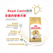 Royal Canin 法國皇家貓乾糧 - 布偶成貓 Ragdoll Adult