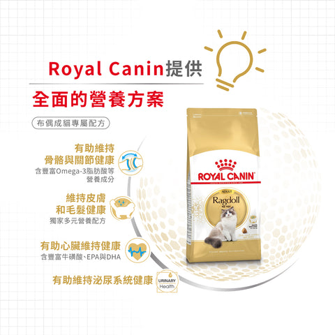 Royal Canin 法國皇家貓乾糧 - 布偶成貓 Ragdoll Adult