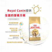 Royal Canin 法國皇家貓乾糧 - 孟加拉豹貓成貓 Bengal Adult