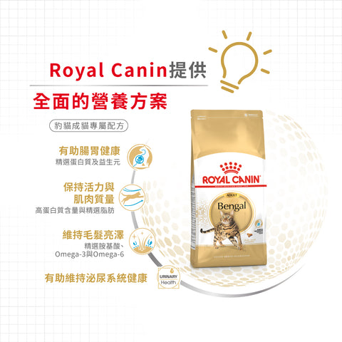 Royal Canin 法國皇家貓乾糧 - 孟加拉豹貓成貓 Bengal Adult