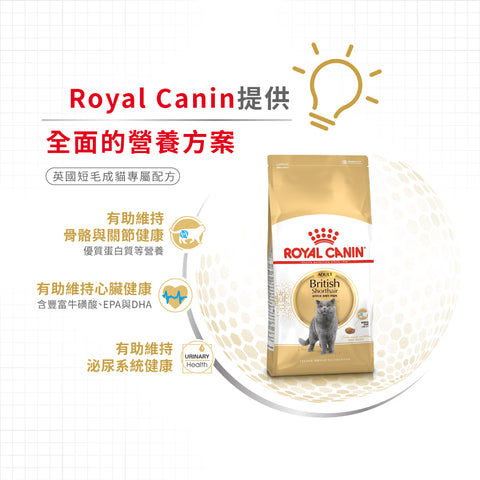 Royal Canin 法國皇家貓乾糧 - 英國短毛成貓 British Shorthair Adult