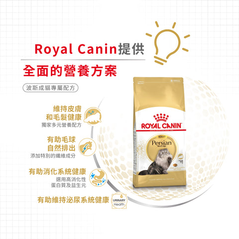 Royal Canin 法國皇家貓乾糧 - 波斯成貓 Persian Adult