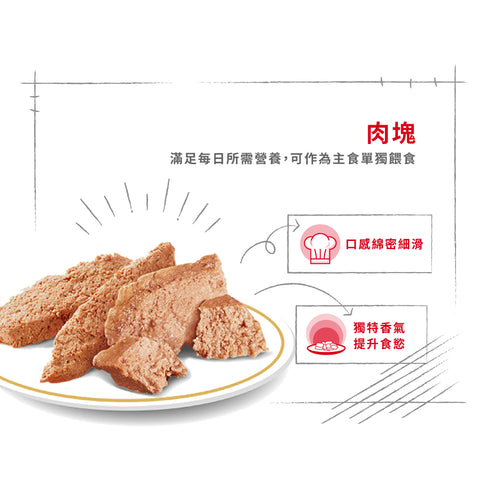 Royal Canin 法國皇家貓濕糧 - 約瑟爹利成犬專屬配方 (肉塊) Yorkshire Terrier Adult (Loaf) 85g