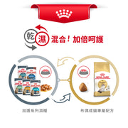 Royal Canin 法國皇家貓乾糧 - 布偶成貓 Ragdoll Adult