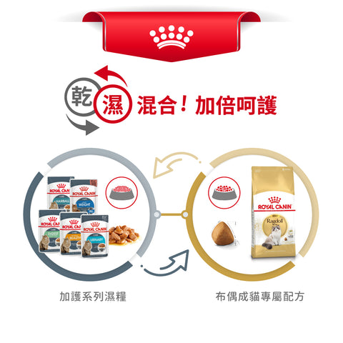 Royal Canin 法國皇家貓乾糧 - 布偶成貓 Ragdoll Adult