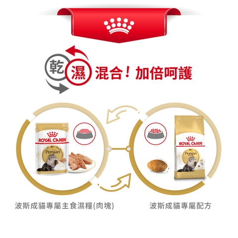 Royal Canin 法國皇家貓乾糧 - 波斯成貓 Persian Adult