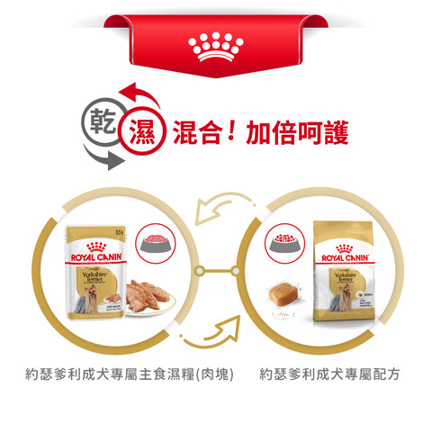 Royal Canin 法國皇家貓濕糧 - 約瑟爹利成犬專屬配方 (肉塊) Yorkshire Terrier Adult (Loaf) 85g