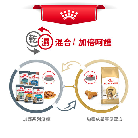 Royal Canin 法國皇家貓乾糧 - 孟加拉豹貓成貓 Bengal Adult