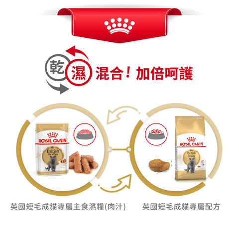 Royal Canin 法國皇家貓乾糧 - 英國短毛成貓 British Shorthair Adult