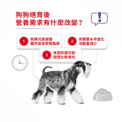 Royal Canin 法國皇家狗乾糧 - 小型犬絕育加護配方 Mini Sterilised 3kg