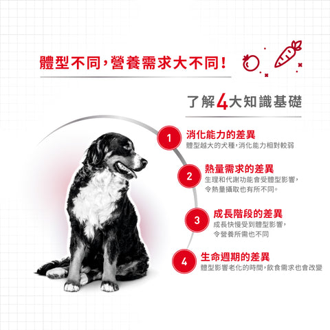 Royal Canin 法國皇家狗濕糧 - 中型成犬(肉汁) Medium Adult (Gravy) 140g