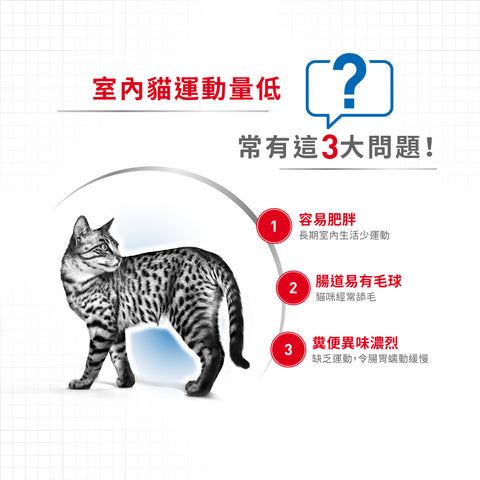 Royal Canin 法國皇家貓乾糧 - 室內成貓加控食量配方 Home Life Indoor Appetite Control