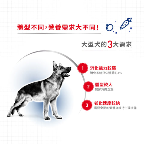 Royal Canin 法國皇家狗濕糧 - 大型成犬(肉汁) Maxi Adult (Gravy) 140g