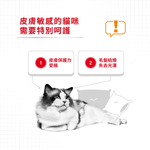 Royal Canin 法國皇家貓濕糧 - 皮膚健康及亮毛成貓 (啫喱) Intense Beauty (Jelly) 85g