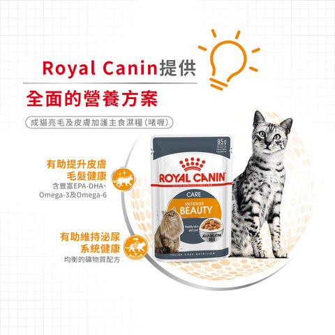 Royal Canin 法國皇家貓濕糧 - 皮膚健康及亮毛成貓 (啫喱) Intense Beauty (Jelly) 85g