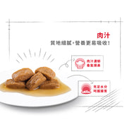 Royal Canin 法國皇家狗濕糧 - 大型成犬(肉汁) Maxi Adult (Gravy) 140g