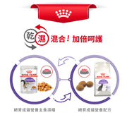 Royal Canin 法國皇家貓濕糧 - 絕育成貓 (啫喱) Sterilised (Jelly) 85g