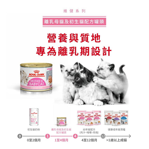 Royal Canin 幼貓濕糧罐頭 - 法國皇家離乳母貓及初生貓(肉塊)配方 (一盤12罐) Cat Mother & Babycat Mousse Canned Food (1 tray)