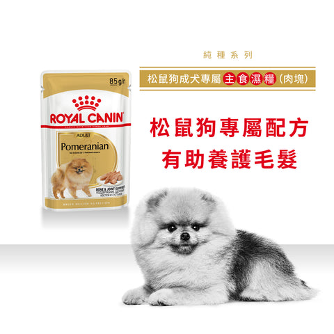 Royal Canin 法國皇家狗濕糧 - 松鼠犬成犬 (肉塊) Pomeranian Adult (Loaf) 85g