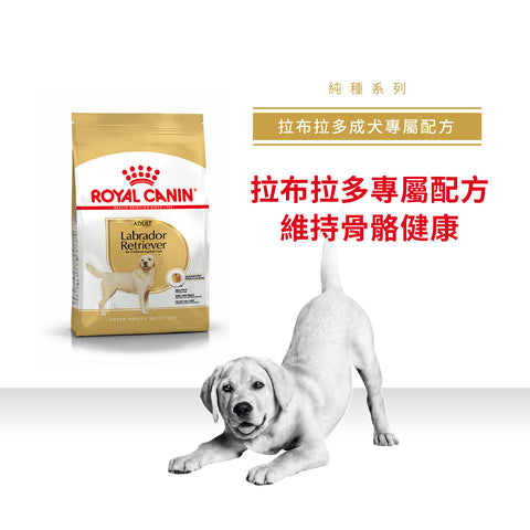 Royal Canin 法國皇家狗乾糧 - 拉布拉多成犬專屬配方 Labrador Retriever Adult 12kg