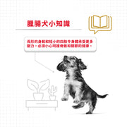 Royal Canin 法國皇家狗乾糧 - 臘腸狗成犬專屬配方 Dachshund Adult 1.5kg