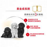 Royal Canin 法國皇家幼犬乾糧 - 貴婦狗幼犬專屬配方 Poodle Puppy 3kg