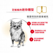 Royal Canin 法國皇家狗乾糧 - 芝娃娃成犬專屬配方 Chihuahua Adult