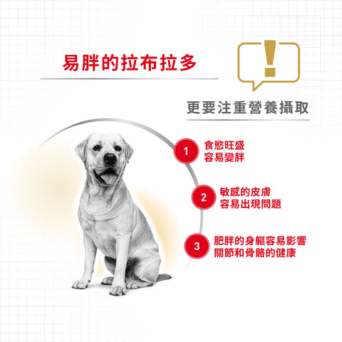 Royal Canin 法國皇家狗乾糧 - 拉布拉多成犬專屬配方 Labrador Retriever Adult 12kg