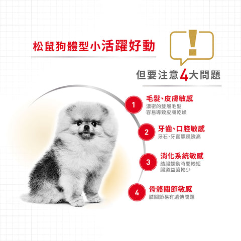 Royal Canin 法國皇家狗濕糧 - 松鼠犬成犬 (肉塊) Pomeranian Adult (Loaf) 85g