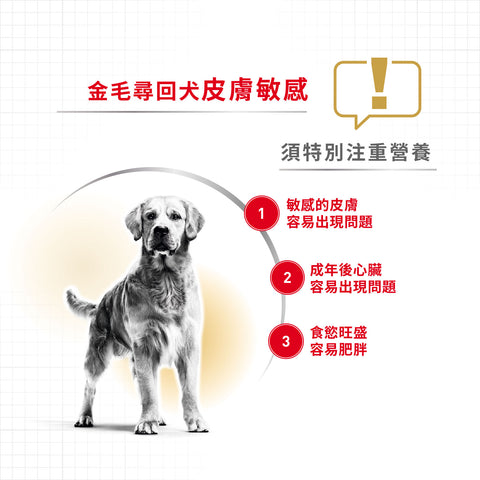 Royal Canin 法國皇家狗乾糧 - 金毛尋回成犬專屬配方 Golden Retriever Adult 12kg