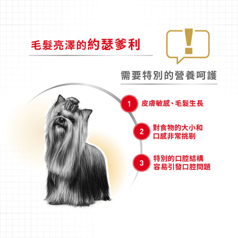 Royal Canin 法國皇家狗乾糧 - 約瑟爹利成犬專屬配方 Yorkshire Terrier Adult 1.5kg