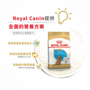 Royal Canin 法國皇家幼犬乾糧 - 貴婦狗幼犬專屬配方 Poodle Puppy 3kg