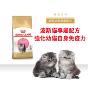 Royal Canin 法國皇家幼貓乾糧 - 波斯幼貓 Persian Kitten