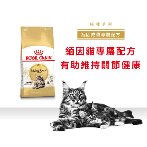 Royal Canin 法國皇家貓乾糧 - 緬因成貓 Maine Coon Adult