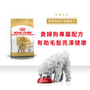 Royal Canin 法國皇家狗乾糧 - 貴婦狗成犬專屬配方 Poodle Adult