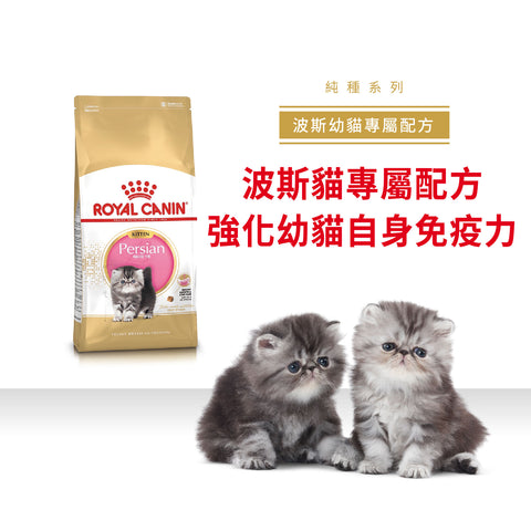 Royal Canin 法國皇家幼貓乾糧 - 波斯幼貓 Persian Kitten