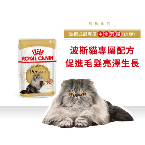 Royal Canin 法國皇家貓濕糧 - 波斯成貓 (肉塊) Persian Adult (Loaf) 85g