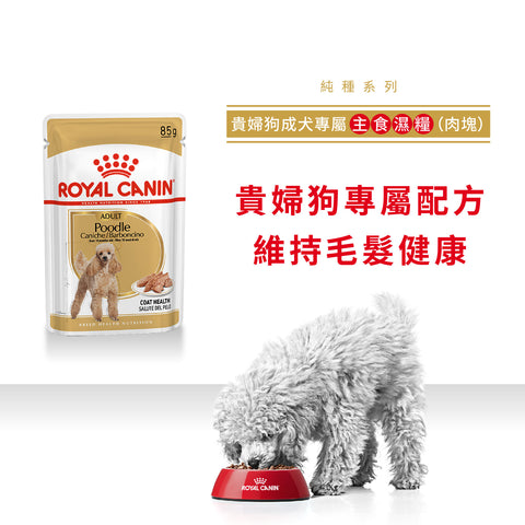 Royal Canin 法國皇家狗濕糧 - 貴婦狗成犬專屬配方 (肉塊) Poodle Adult (Loaf) 85g