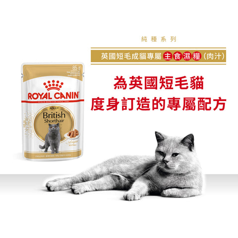 Royal Canin 法國皇家貓濕糧 - 英國短毛成貓 (肉汁) British Shorthair Adult (Gravy) 85g