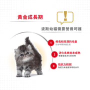 Royal Canin 法國皇家幼貓乾糧 - 波斯幼貓 Persian Kitten